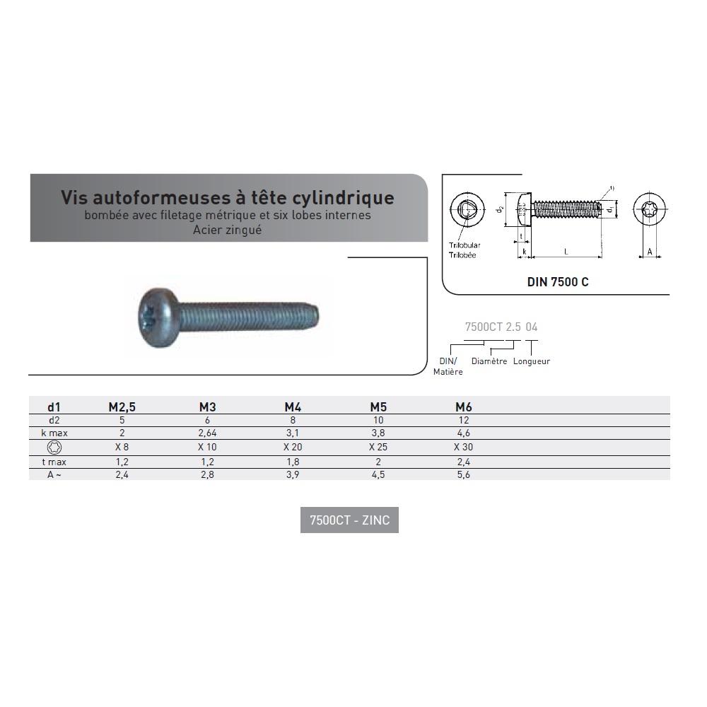 VIS AUTOFORMEUSE TC TORX DIN 7500C ACIER ZINGUE photo du produit Vue arrière L