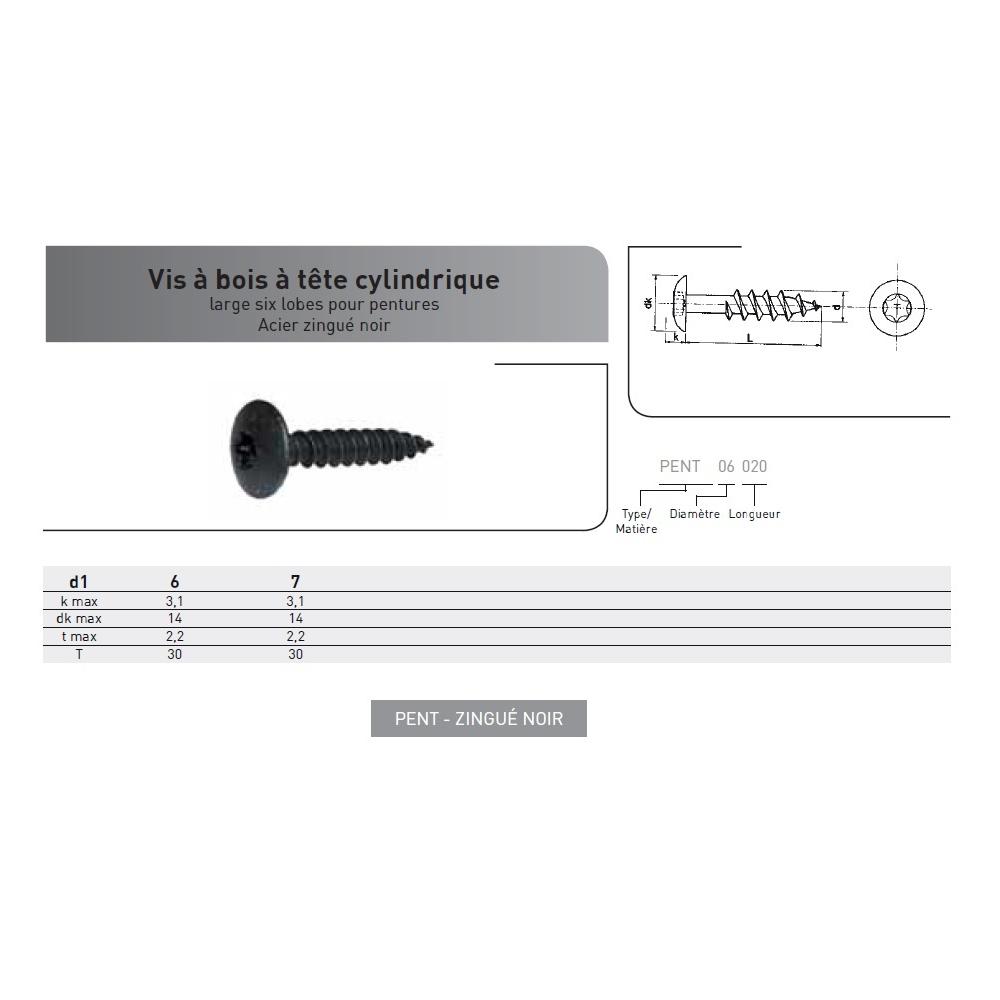 VIS DE PENTURE VBA TRL TORX ACIER ZINGUE NOIR photo du produit Vue arrière L