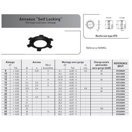 SELF LOCKING RENFORCE POUR ALESAGE ACIER PHOSPHATE photo du produit Vue arrière M