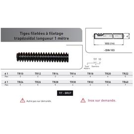 TIGE FILETEE PAS TRAPEZOIDAL ADX BRUT - LG 1M photo du produit Vue arrière M