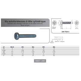 VIS AUTOFORMEUSE TC TORX DIN 7500C ACIER ZINGUE photo du produit Vue arrière M