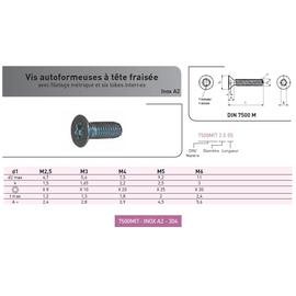 VIS AUTOFORMEUSE TF TORX DIN 7500M INOX A2 photo du produit Vue arrière M