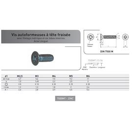 VIS AUTOFORMEUSE TF TORX DIN 7500M ACIER ZINGUE photo du produit Vue arrière M