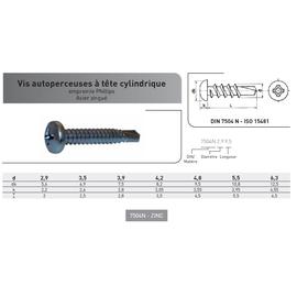 VIS AUTOPERCEUSE TC PHILLIPS DIN 7504N ACIER ZINGUE photo du produit Vue arrière M