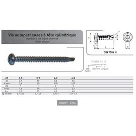 VIS AUTOPERCEUSE TC TORX DIN 7504N ACIER ZINGUE photo du produit Vue arrière M
