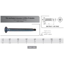 VIS AUTOPERCEUSE TF PHILLIPS DIN 7504P ACIER ZINGUE photo du produit Vue arrière M
