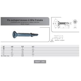 VIS AUTOPERCEUSE TF TORX DIN 7504P ACIER ZINGUE photo du produit Vue arrière M