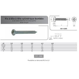 VIS TOLE TC TORX DIN 7981 ACIER ZINGUE photo du produit Vue arrière M