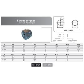 ECROU BORGNE NFE 27453 ACIER ZINGUE  photo du produit Vue arrière M