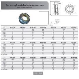 ECROU CYL. A ENCOCHE A BAGUE NYLON ACIER ZINGUE photo du produit Vue arrière M