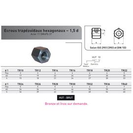 ECROUS HU TRAPEZOIDAUX ACIER BRUT photo du produit Vue arrière M