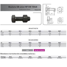 BOULON SB- ISO 4014/4032 EN15048 20X140 8.8 ZING photo du produit Vue arrière M