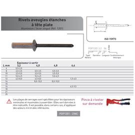 RIVET POP ETANCHE ISO 15973 TETE PLATE AL/AC photo du produit Vue arrière M