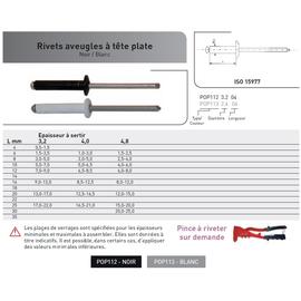 RIVET POP ISO 15977 TETE PLATE AL/AC NOIR photo du produit Vue arrière M