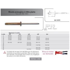 RIVET POP ISO 15979 TETE PLATE TOUT ACIER photo du produit Vue arrière M