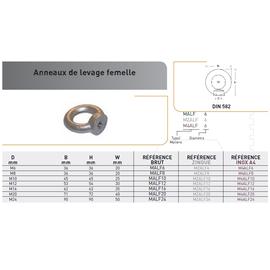 ANNEAU LEVAGE FEMELLE DIN 582 ACIER ZINGUE photo du produit Vue arrière M