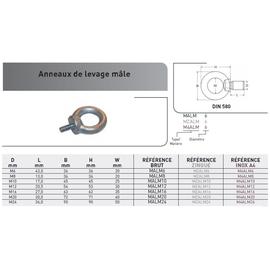 ANNEAU LEVAGE MALE DIN 580 ACIER ZINGUE photo du produit Vue arrière M