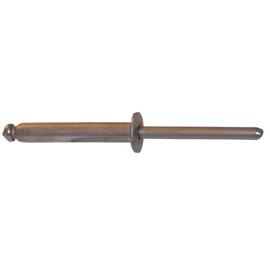 RIVET POP ISO 15983 TETE PLATE INOX 304 photo du produit