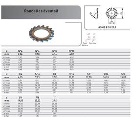 RONDELLE EVENTAIL AZ - DENTURE EXTERIEUR - ACIER ZINGUE photo du produit Vue arrière M