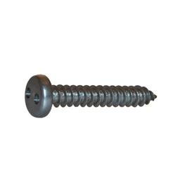 VIS INVIOLABLE TOLE TC 2 TROUS ''SNAKE EYES'' INOX A2 photo du produit