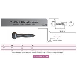 VIS INVIOLABLE TOLE TC 2 TROUS ''SNAKE EYES'' INOX A2 photo du produit Vue arrière M