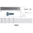 VIS PT® WN 1411 TCB RONDELLE POZI ACIER ZINGUE photo du produit Vue arrière S