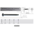 VIS AUTOPERCEUSE TC TORX DIN 7504N ACIER ZINGUE photo du produit Vue arrière S