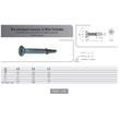 VIS AUTOPERCEUSE TF TORX DIN 7504P ACIER ZINGUE photo du produit Vue arrière S