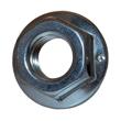 ECROU A EMBASE CRANTEE M6 INOX A2 photo du produit