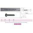 VIS INVIOLABLE TOLE TC 2 TROUS ''SNAKE EYES'' INOX A2 photo du produit Vue arrière S