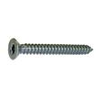 VIS TOLE INVIOLABLE TF TORX + TETON INOX A2 photo du produit