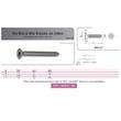 VIS TOLE INVIOLABLE TF TORX + TETON INOX A2 photo du produit Vue arrière S